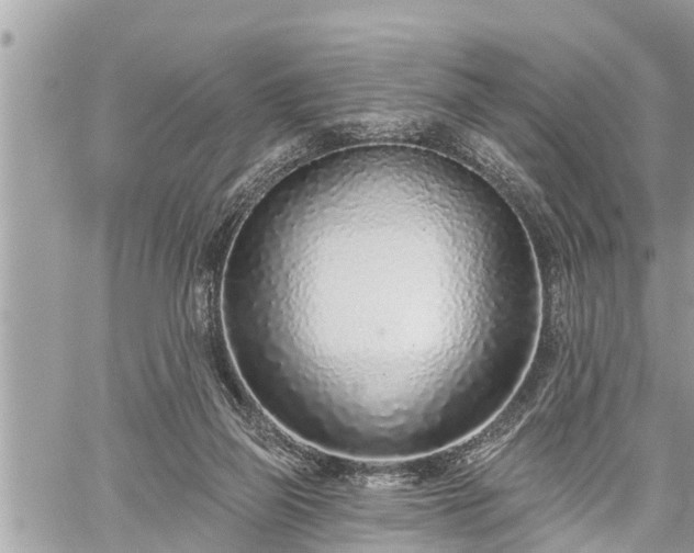 X0000060240165200510311531