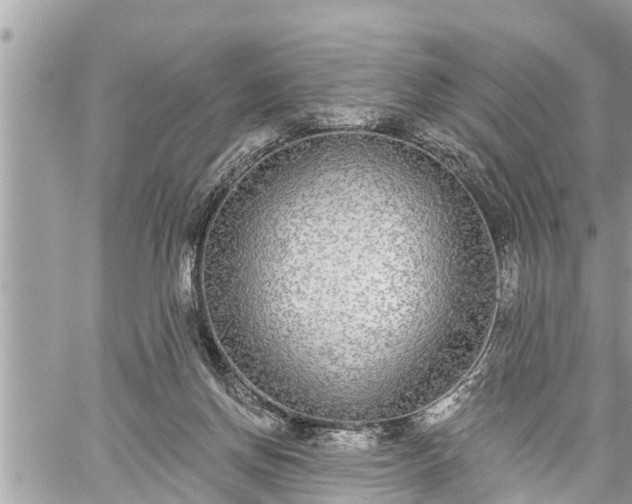 X0000060240166200510311531