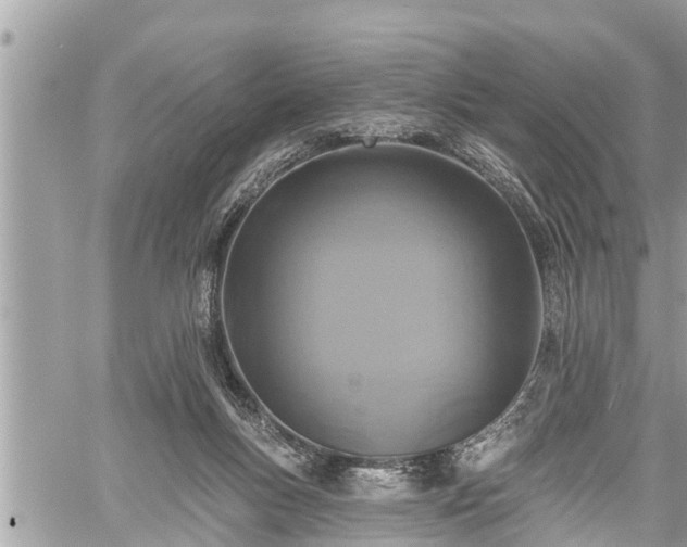 X0000060240167200510311531