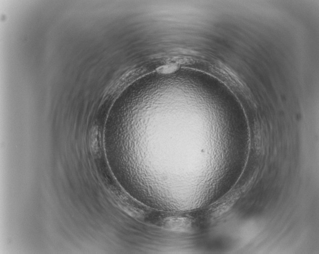 X0000060240169200510311531