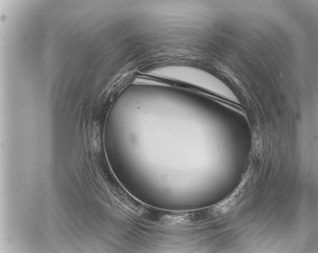 X0000060240170200510311531