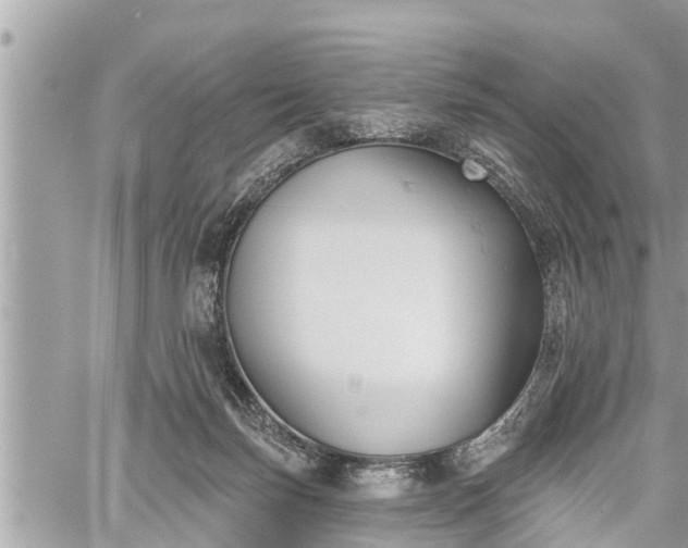 X0000060240171200510311531