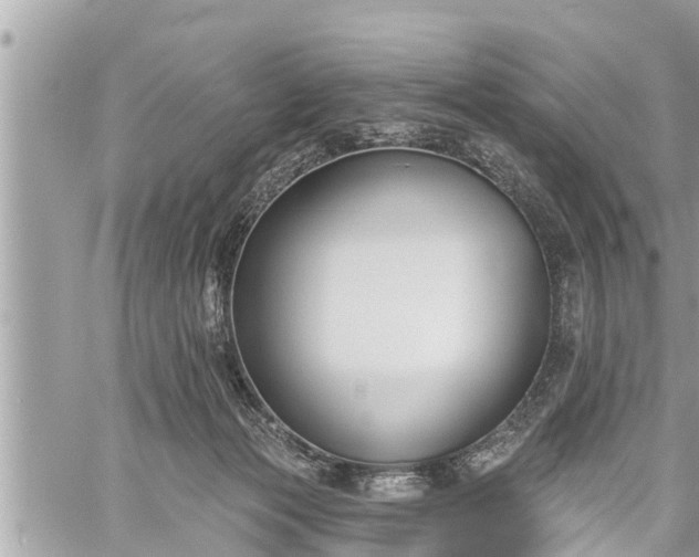 X0000060240173200510311531