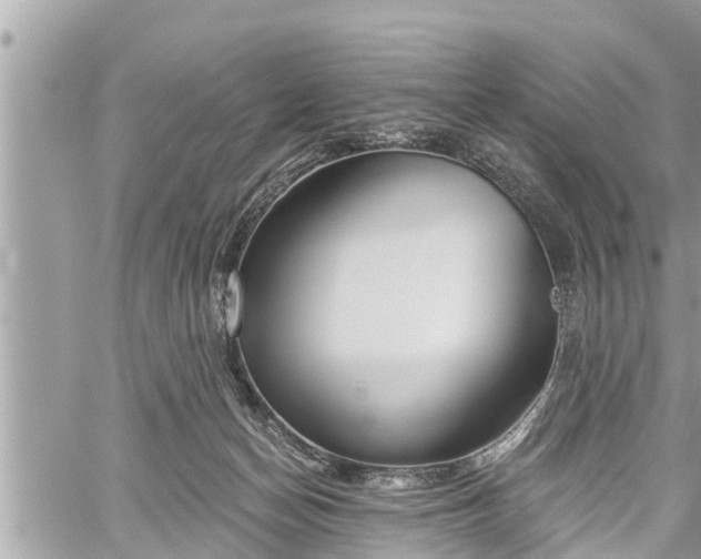 X0000060240174200510311531