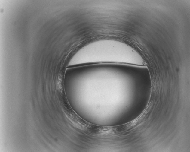 X0000060240175200510311531