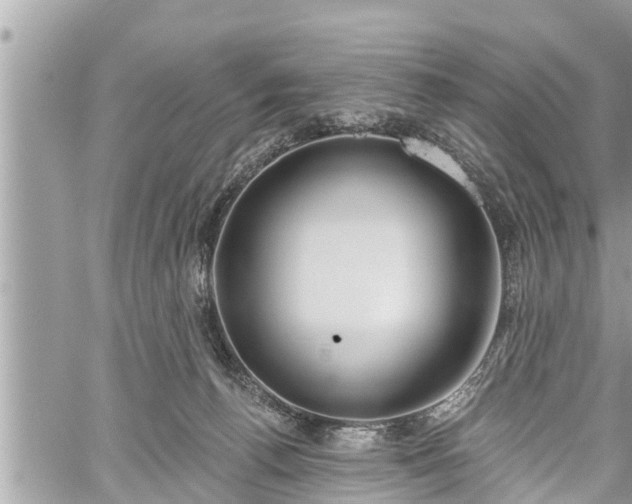 X0000060240176200510311531