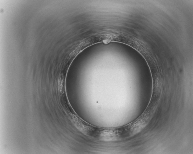 X0000060240177200510311531