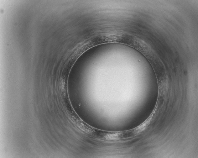 X0000060240178200510311531