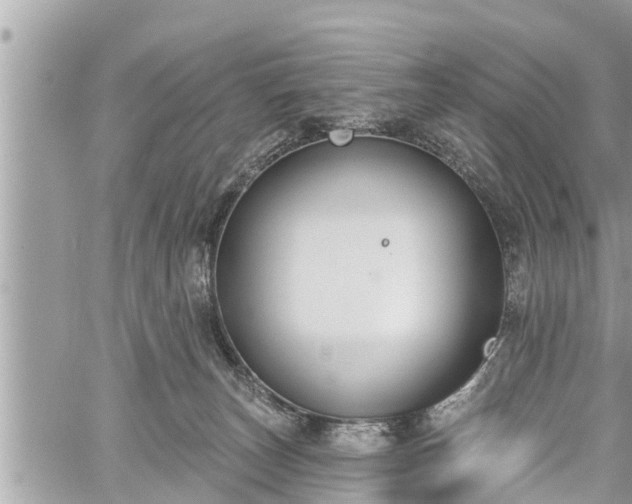 X0000060240179200510311531