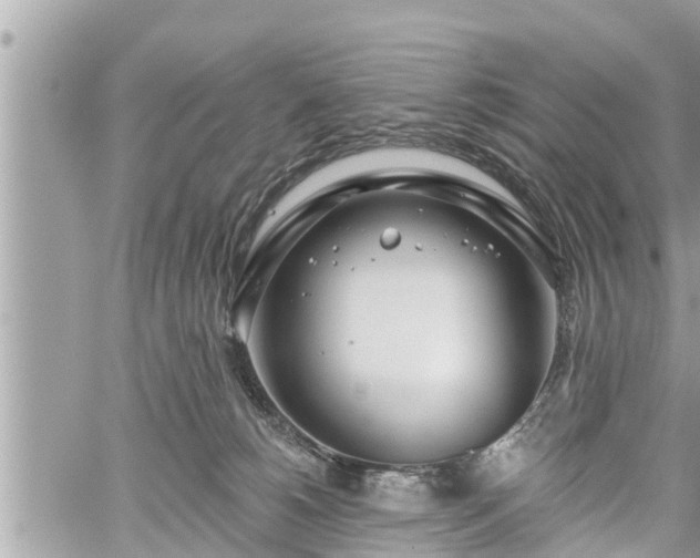 X0000060240180200510311531