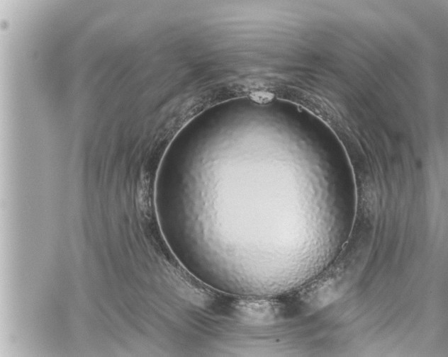 X0000060240181200510311531