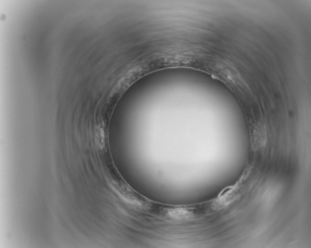 X0000060240183200510311531