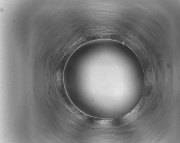 X0000060240184200510311531