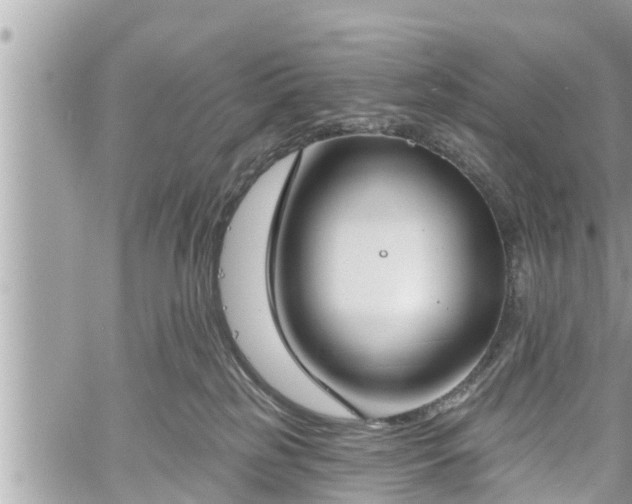 X0000060240185200510311531