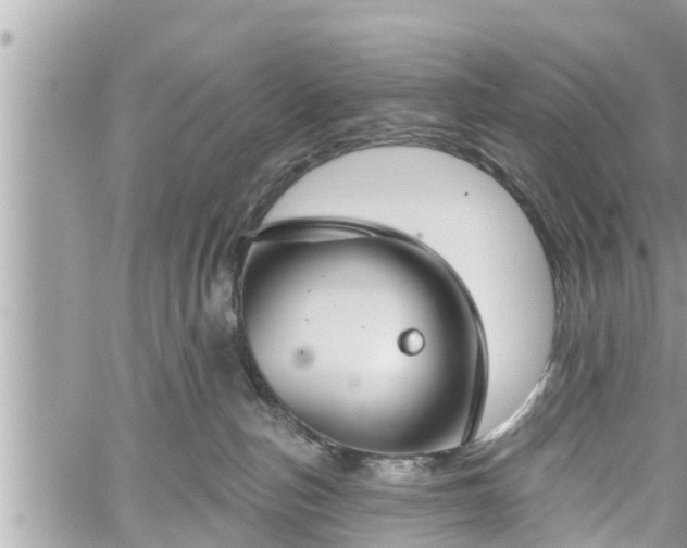 X0000060240187200510311531