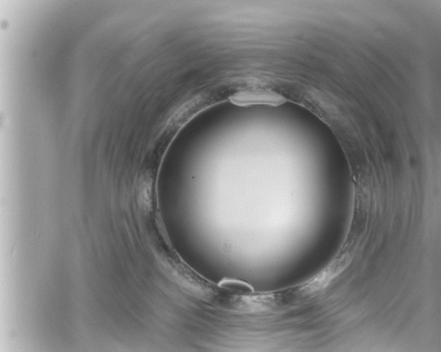 X0000060240188200510311532