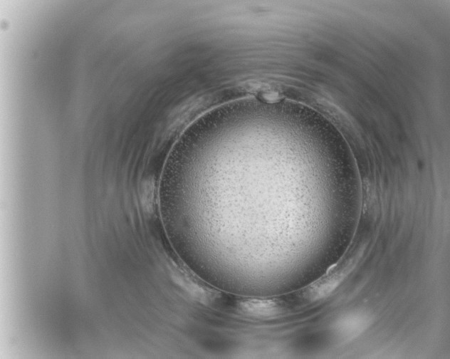 X0000060240189200510311532