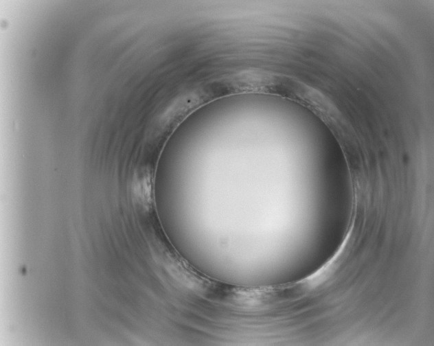 X0000060240190200510311532