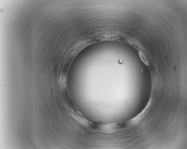 X0000060240191200510311532