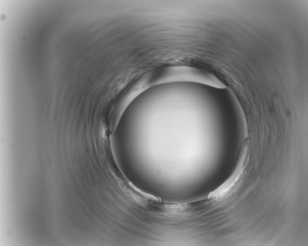 X0000060240192200510311532