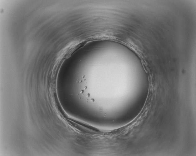 X0000060240193200510311531