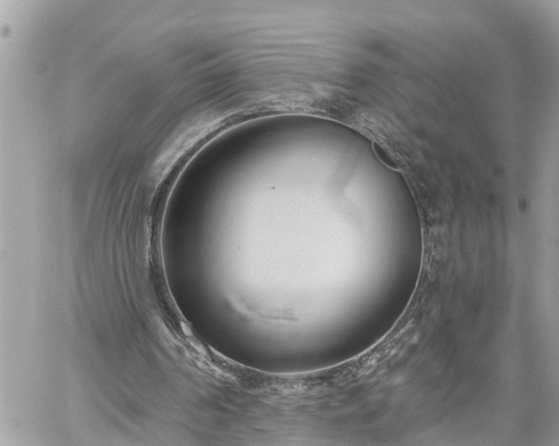 X0000060240194200510311531