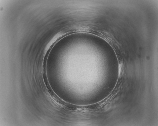 X0000060240195200510311531