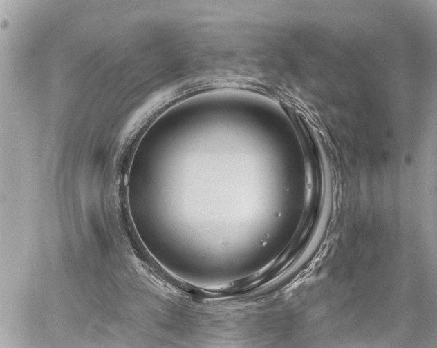 X0000060240197200510311531