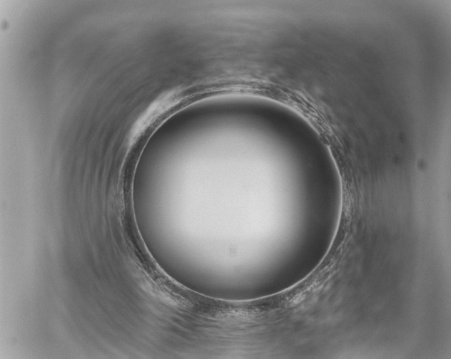 X0000060240198200510311531