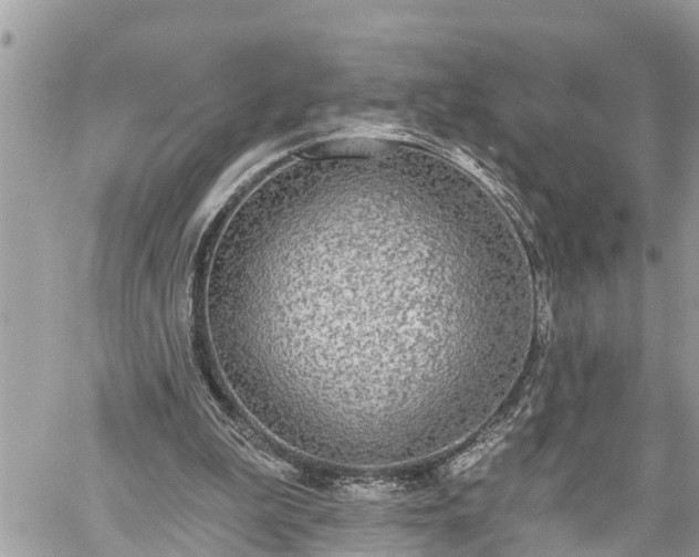 X0000060240199200510311531