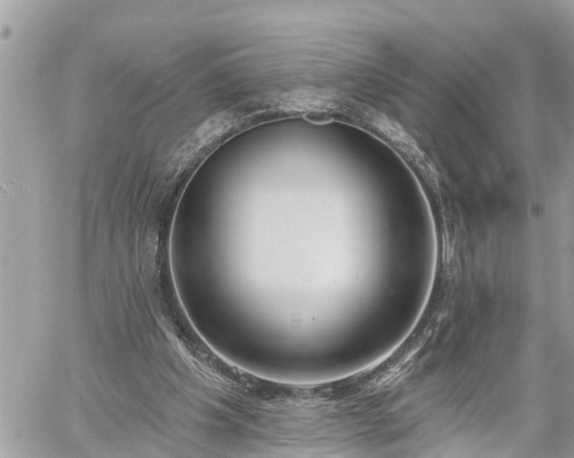 X0000060240201200510311531