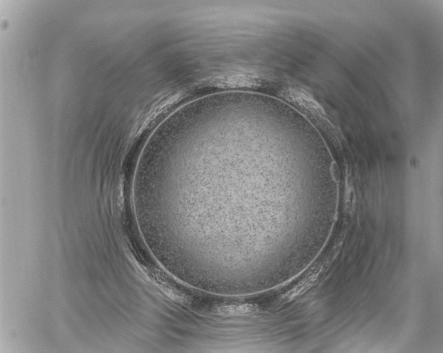 X0000060240202200510311531