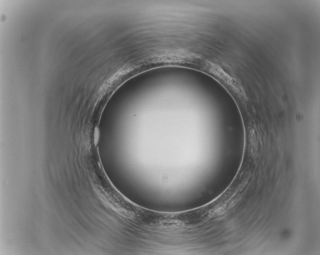 X0000060240203200510311531