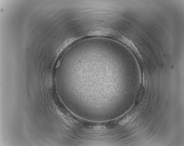 X0000060240204200510311531