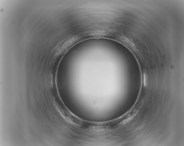 X0000060240205200510311531