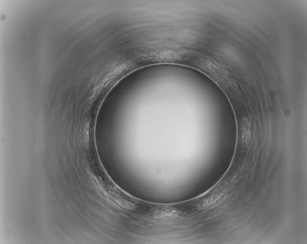 X0000060240206200510311531