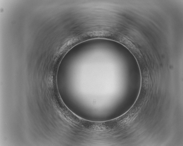 X0000060240207200510311531