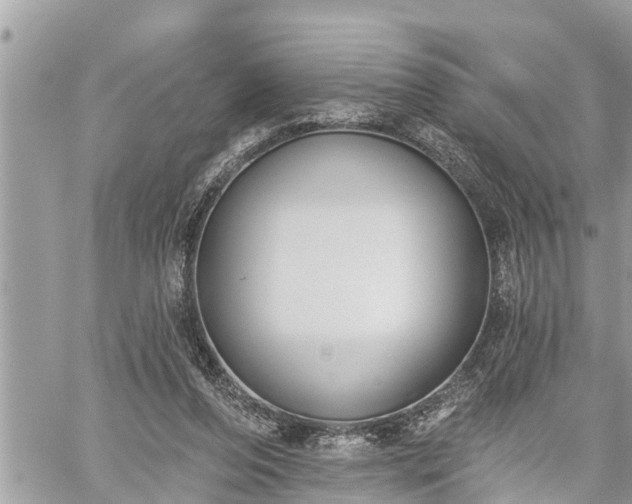 X0000060240208200510311531