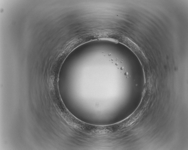 X0000060240209200510311531