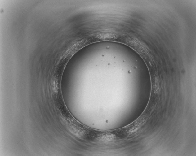 X0000060240210200510311530