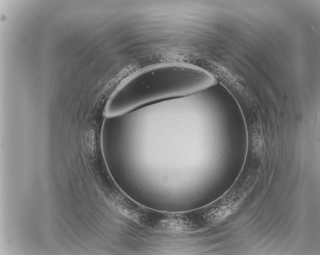 X0000060240211200510311530