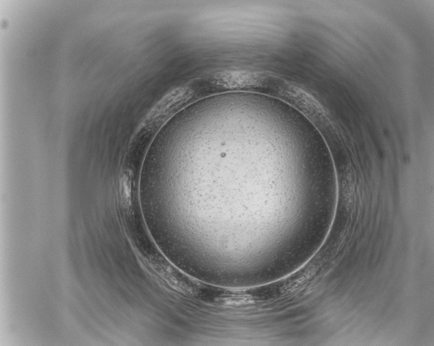 X0000060240214200510311530