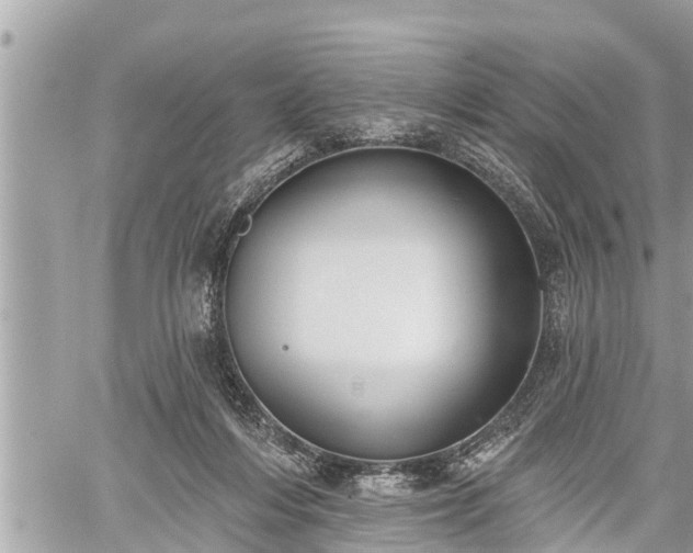 X0000060240216200510311530