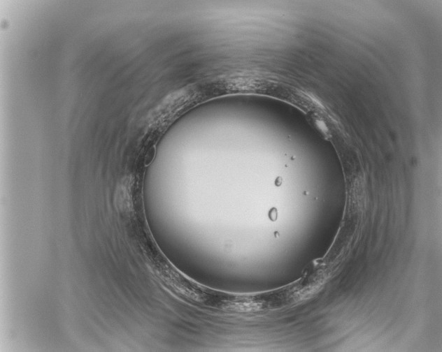 X0000060240217200510311530