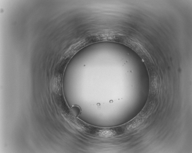 X0000060240218200510311530