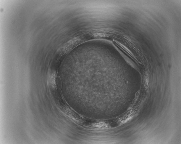 X0000060240219200510311530