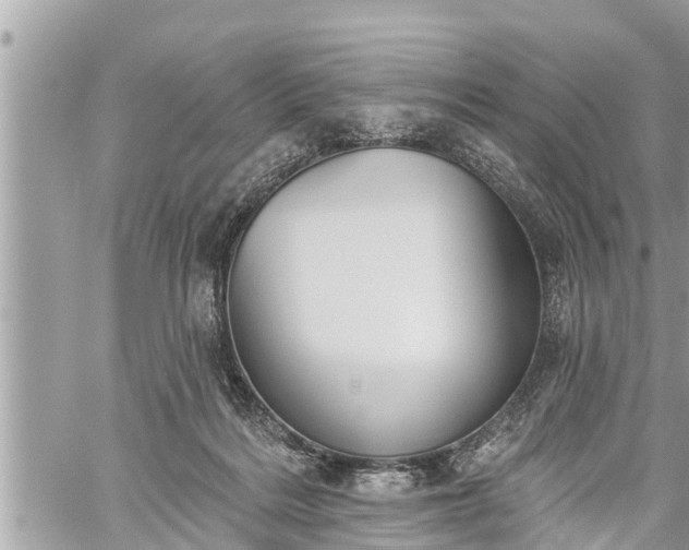 X0000060240220200510311530