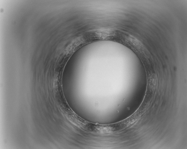 X0000060240221200510311530