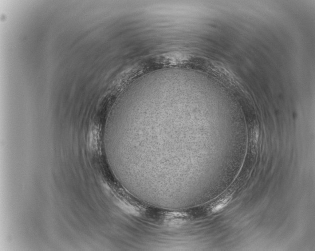 X0000060240222200510311530