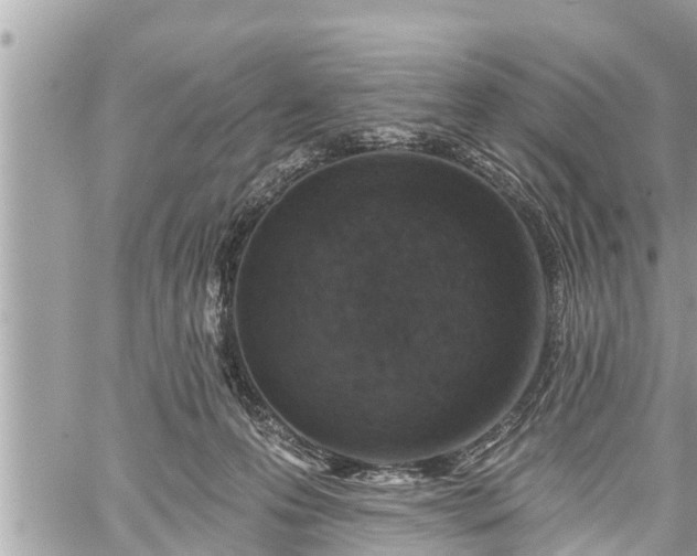 X0000060240223200510311530